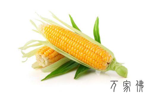 漏斗和玉米