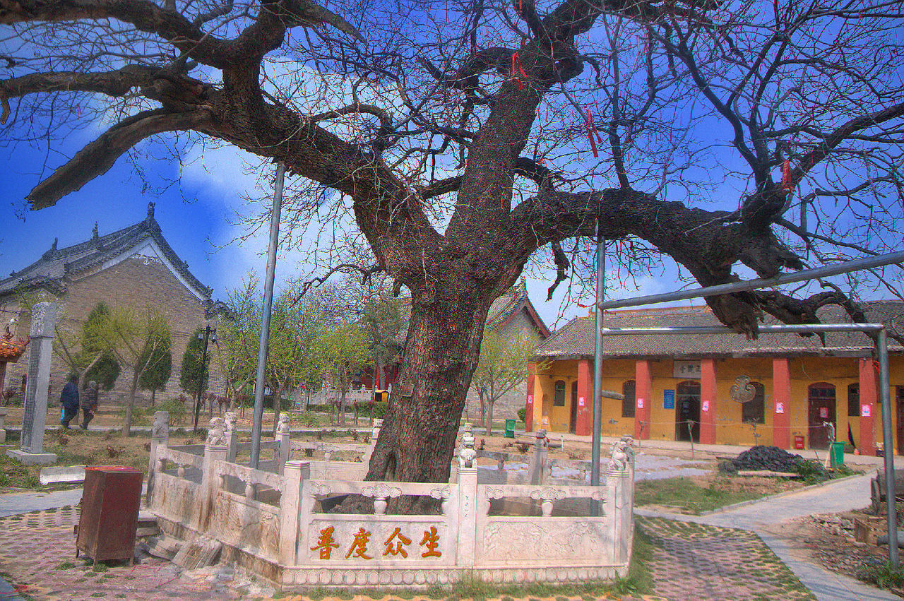 河北省商丘市民权县白云禅寺
