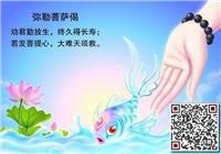 上海妙音放生特色和注意事项