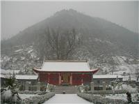嫉妒是一种毒药，不要让他扰乱内心
