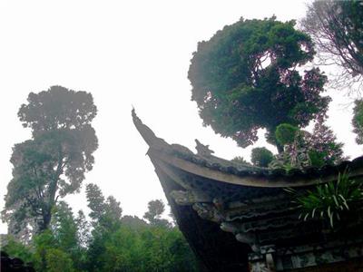 峨眉山撷影之二：雷音寺和圣水禅院