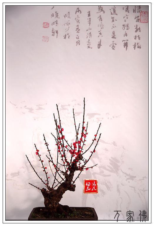 没有遗余力做好每逐一逐逐一件事