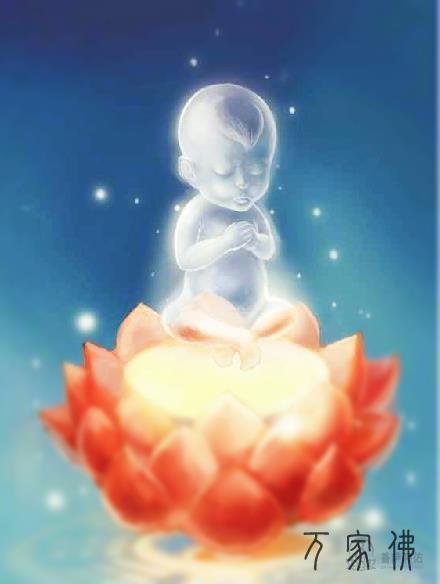 挨胎真的会阳碍往死