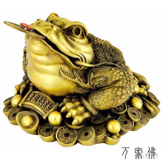 摆放招财金蟾的宜取忌
