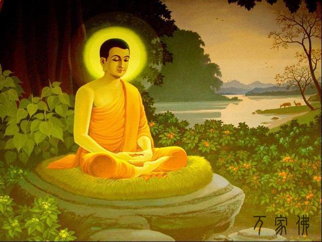 梦睹印医