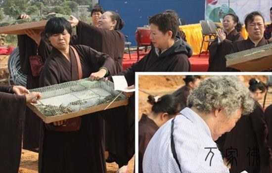 黄石目莲寺举行没有俗观音出家日暨天藏宝瓶安放法会
