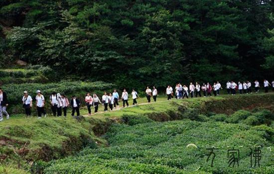 黄梅四祖寺夏令营营员心声：七天能扭转一生吗？