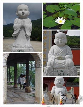 黄梅四祖寺夏令营营员心声：七天能扭转一生吗？