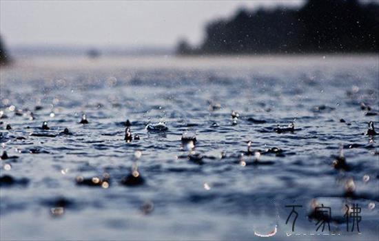 黄梅时节家家雨  结夏安居处处情