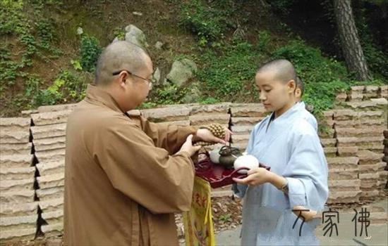 黄石法藏寺“禅茶心旅”夏令营开营 分享当下的禅悦