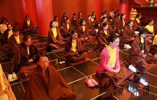 鸡脚山九莲寺“浑凉天”夏令营  一天的禅教死活