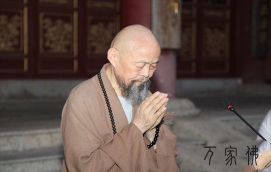 黄梅四祖寺禅家蛮夏令营第四日 行脚体验